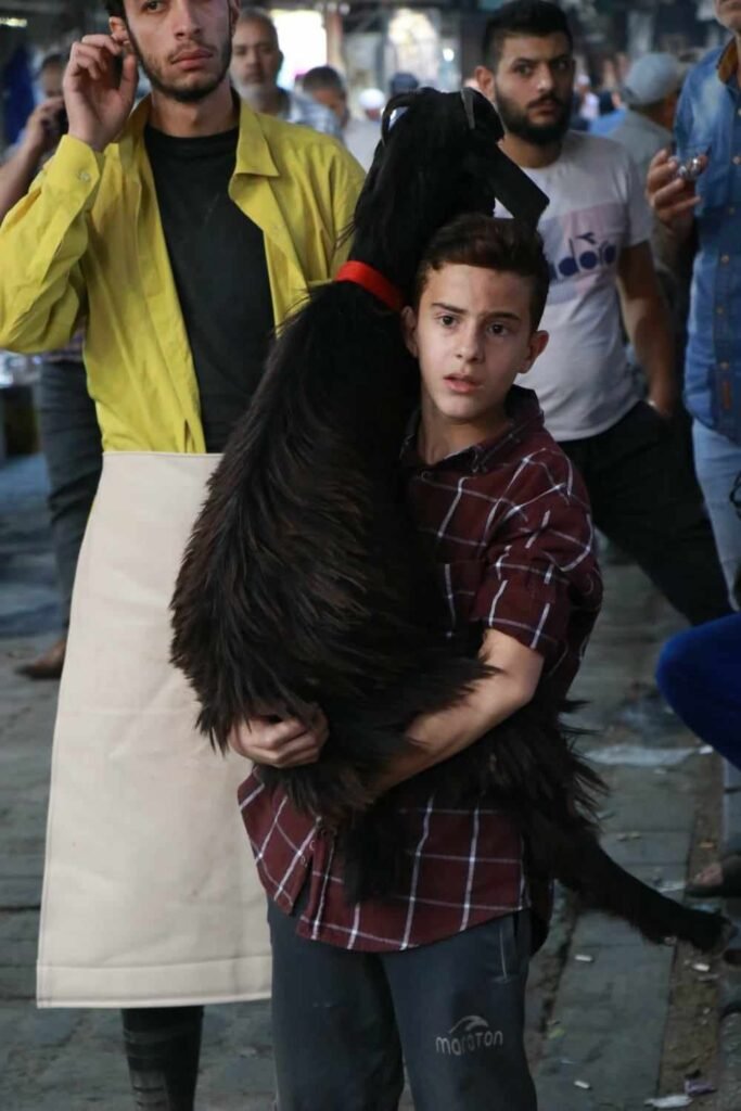 الطفل غدي العقباني وأدوار البطولة... مستقبل فني واعد