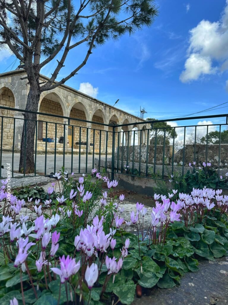 بالصور: لقطات من خلوات البياضة