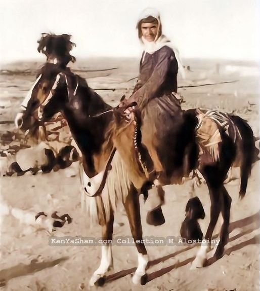 فارس من جبل العرب في مطلع القرن العشرين فارس من جبل العرب في مطلع القرن العشرين
