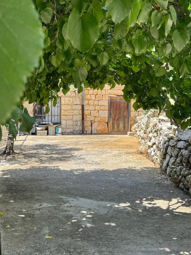 خلوات البيّاضة 