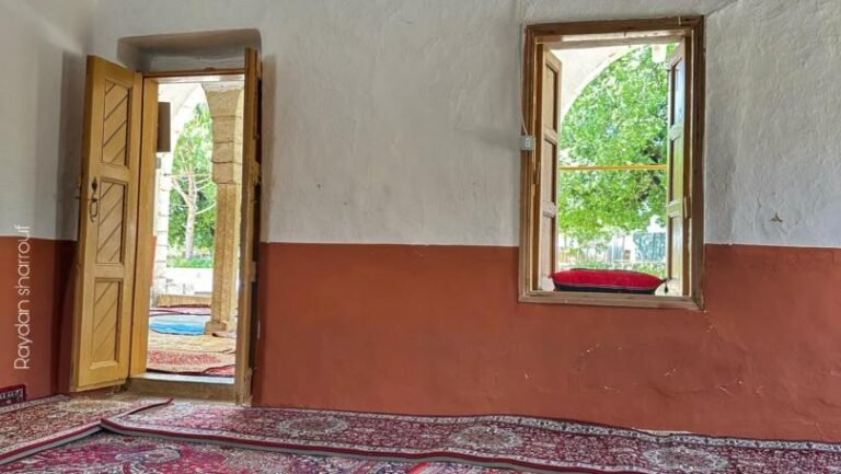 لقطات رائعة من خلوات البيّاضة الشريفة