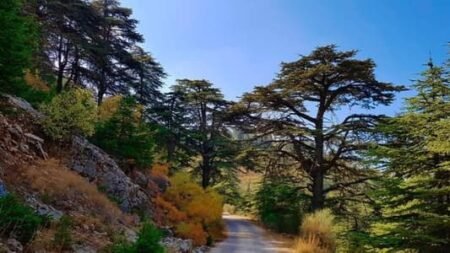 إلى محبّي السياحة والمغامرات… الشّوف ينتظركم! السياحة في الشوف